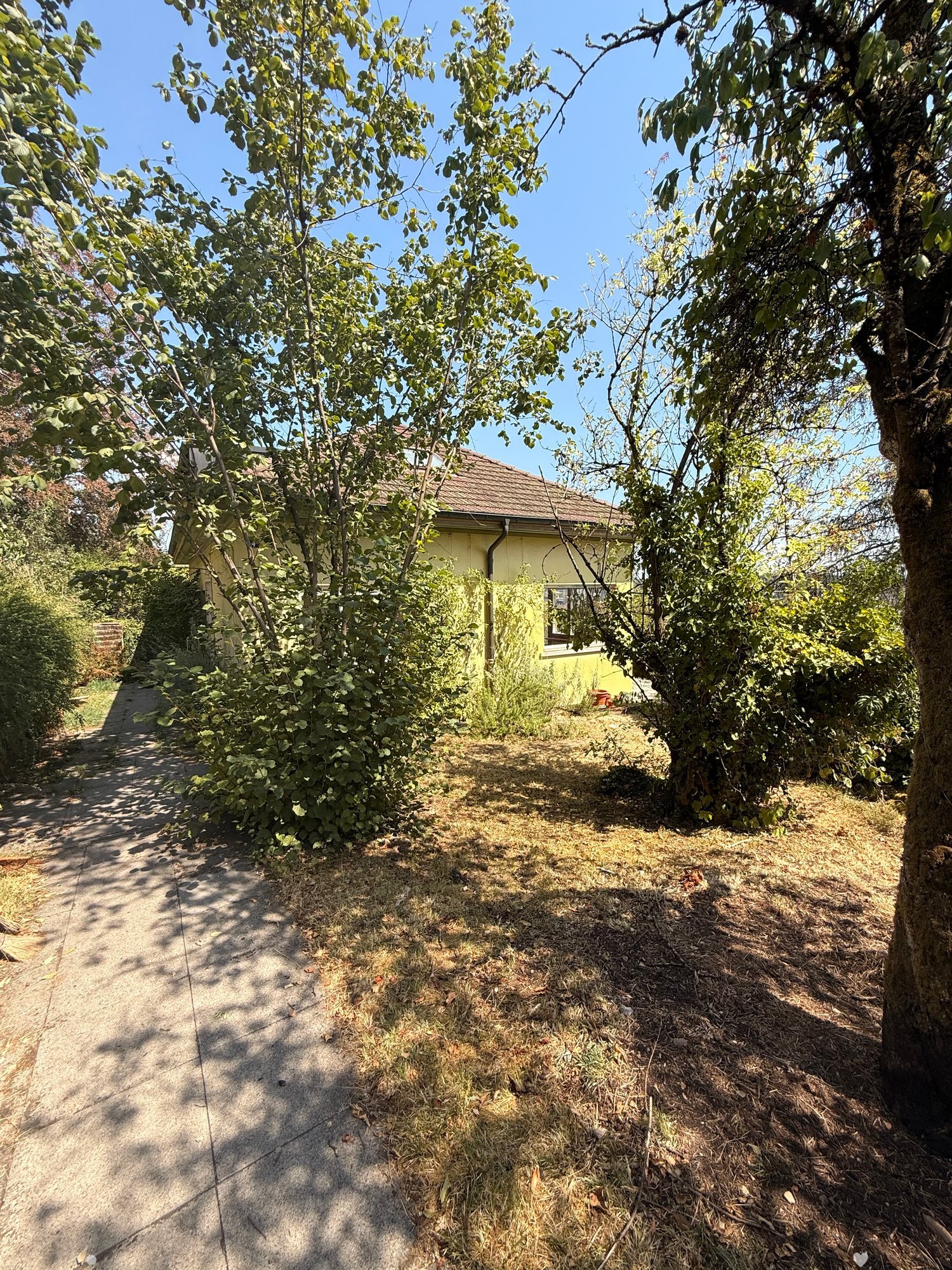 A garden area with a pathway leading to a yellow house, surrounded by trees and shrubs, with a clear blue sky in the background.