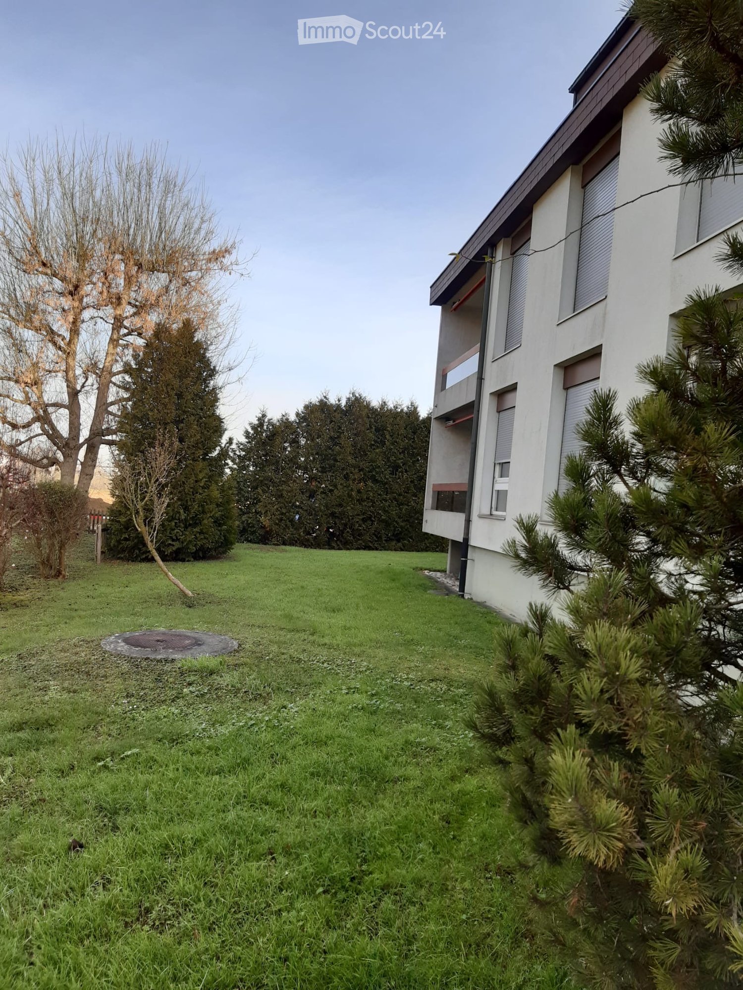 Lawn with trees and a modern house in the background.