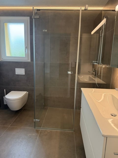 Modern bathroom with a glass shower enclosure, white toilet, white sink with cabinet, and a mirror above the sink. The walls are tiled in a dark gray color, and the floor is tiled in a light brown color.