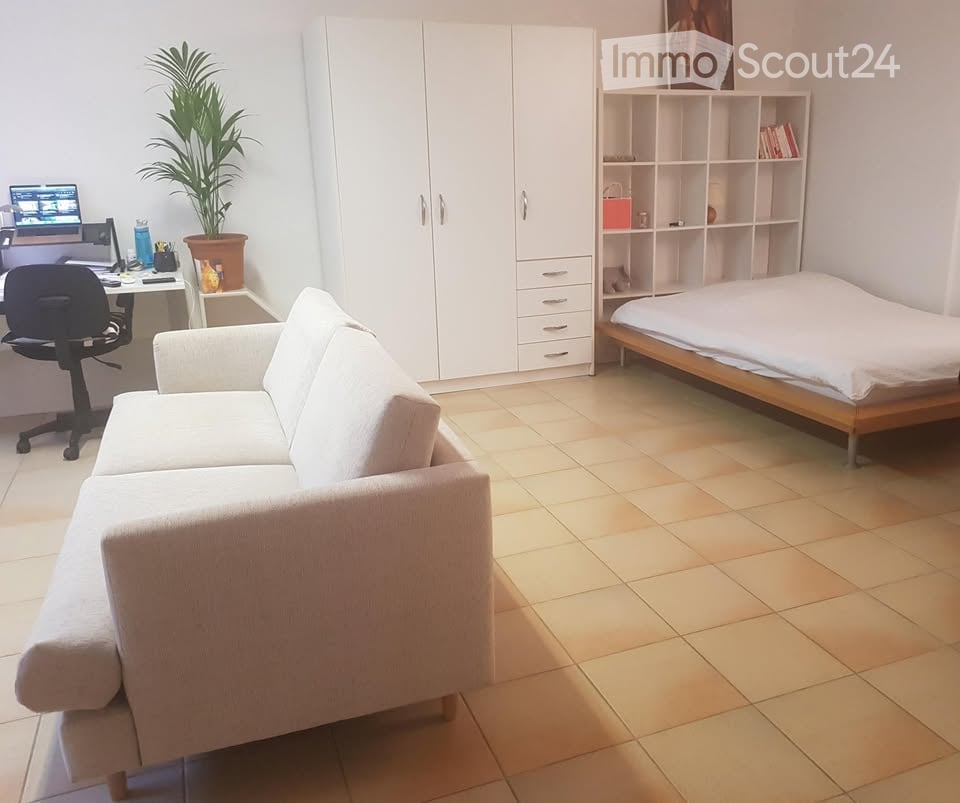 A modern, multi-functional room with a sofa, a bed, a desk with a laptop, a chair, a potted plant, a white cabinet, and a shelf with books and decorative items.