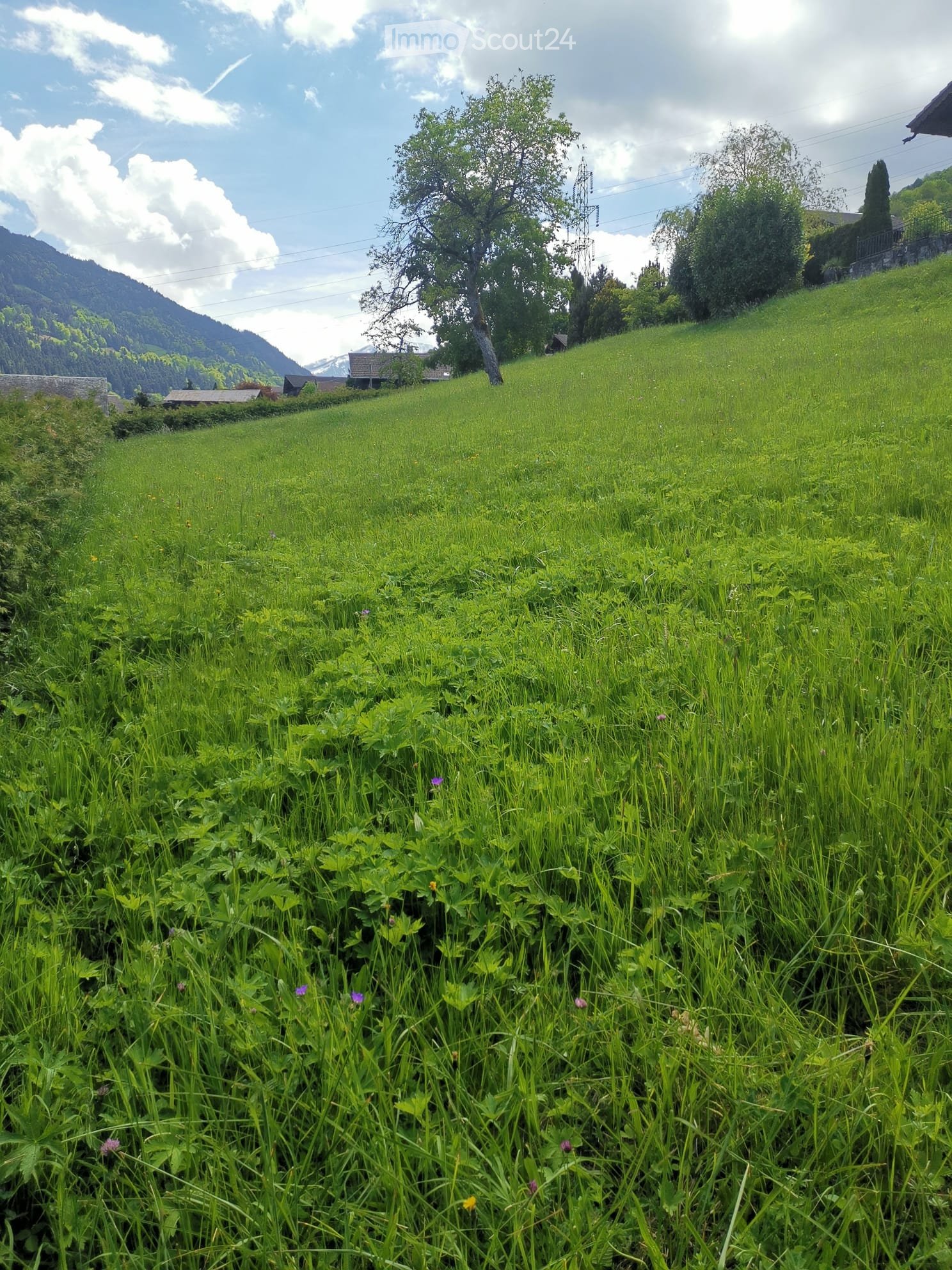 Lush green meadow with tall grass and wildflowers, surrounded by trees and distant mountains under a partly cloudy sky.