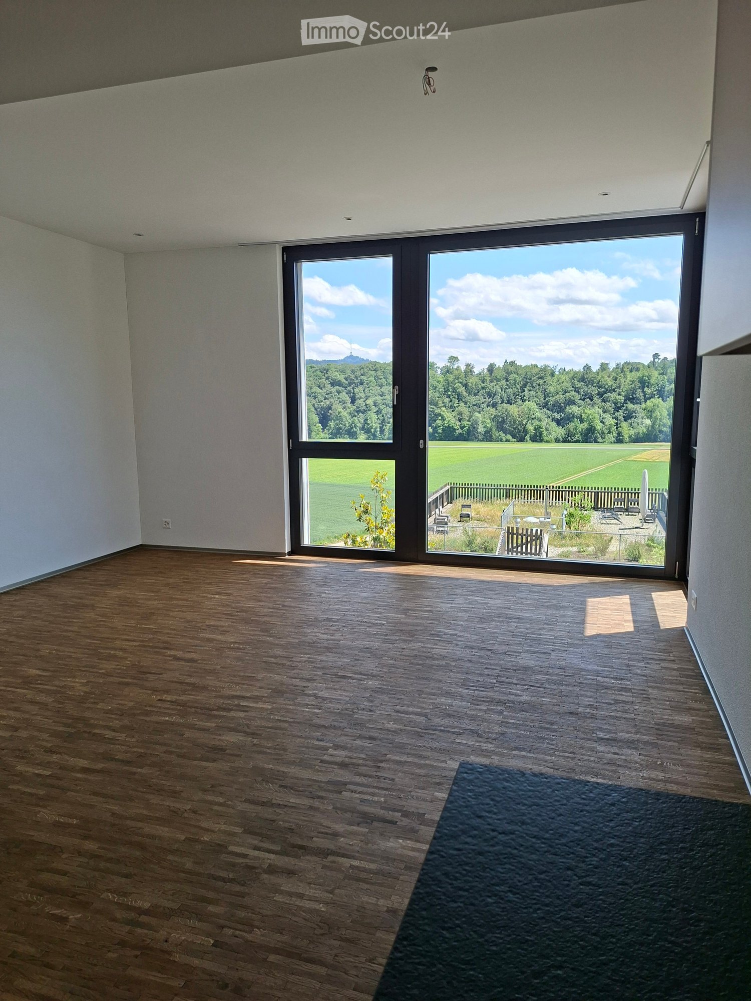 Empty room with wooden flooring, large sliding glass doors leading to an outdoor area with a view of a green field and trees.