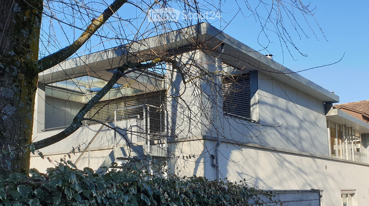 Modern two-story house with white exterior, large windows, and a flat roof, partially obscured by trees and foliage.
