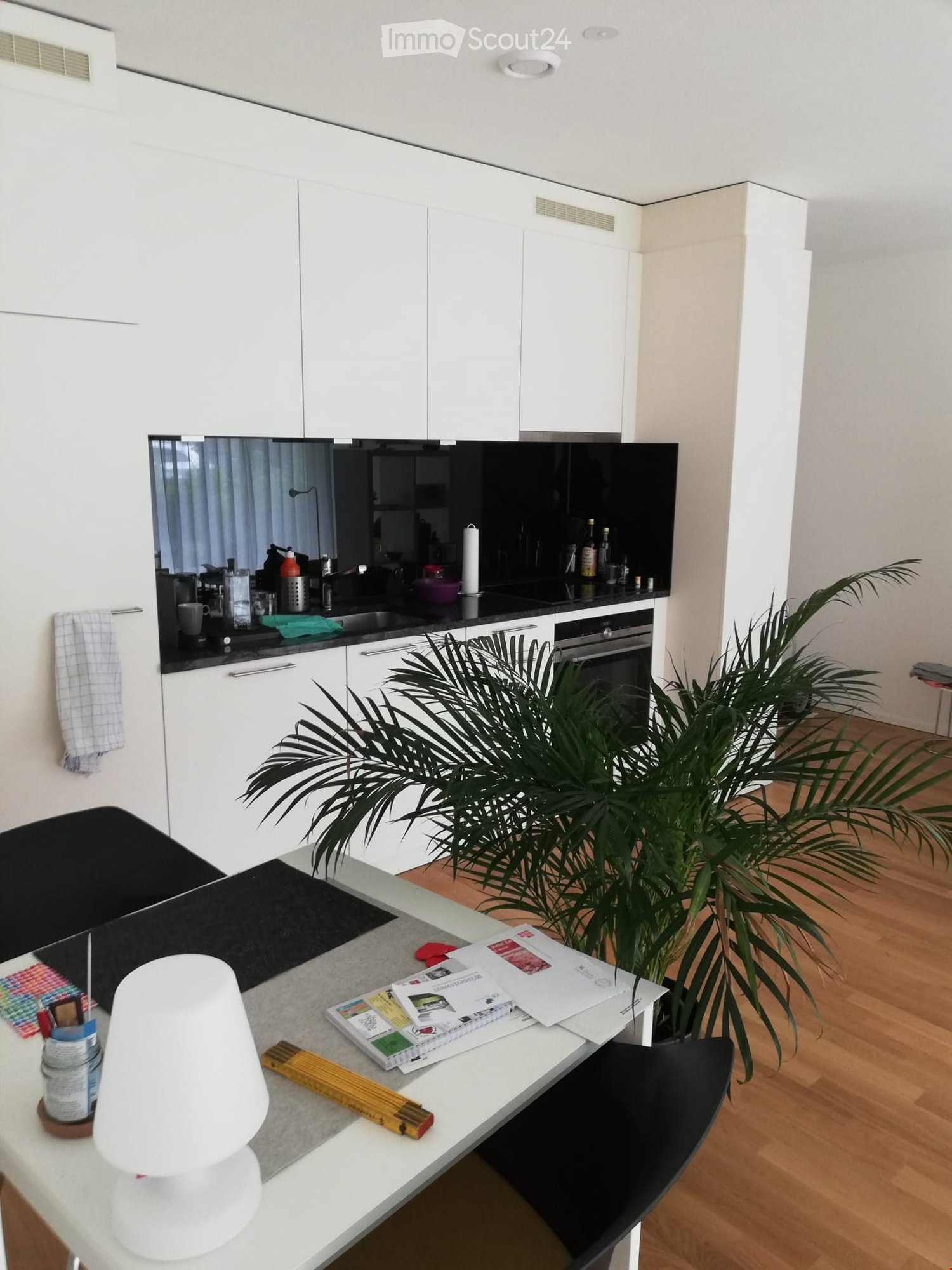 Modern kitchen, white cabinets, black countertops, stainless steel appliances, wooden floor, large plant in the corner, dining table with decorative items