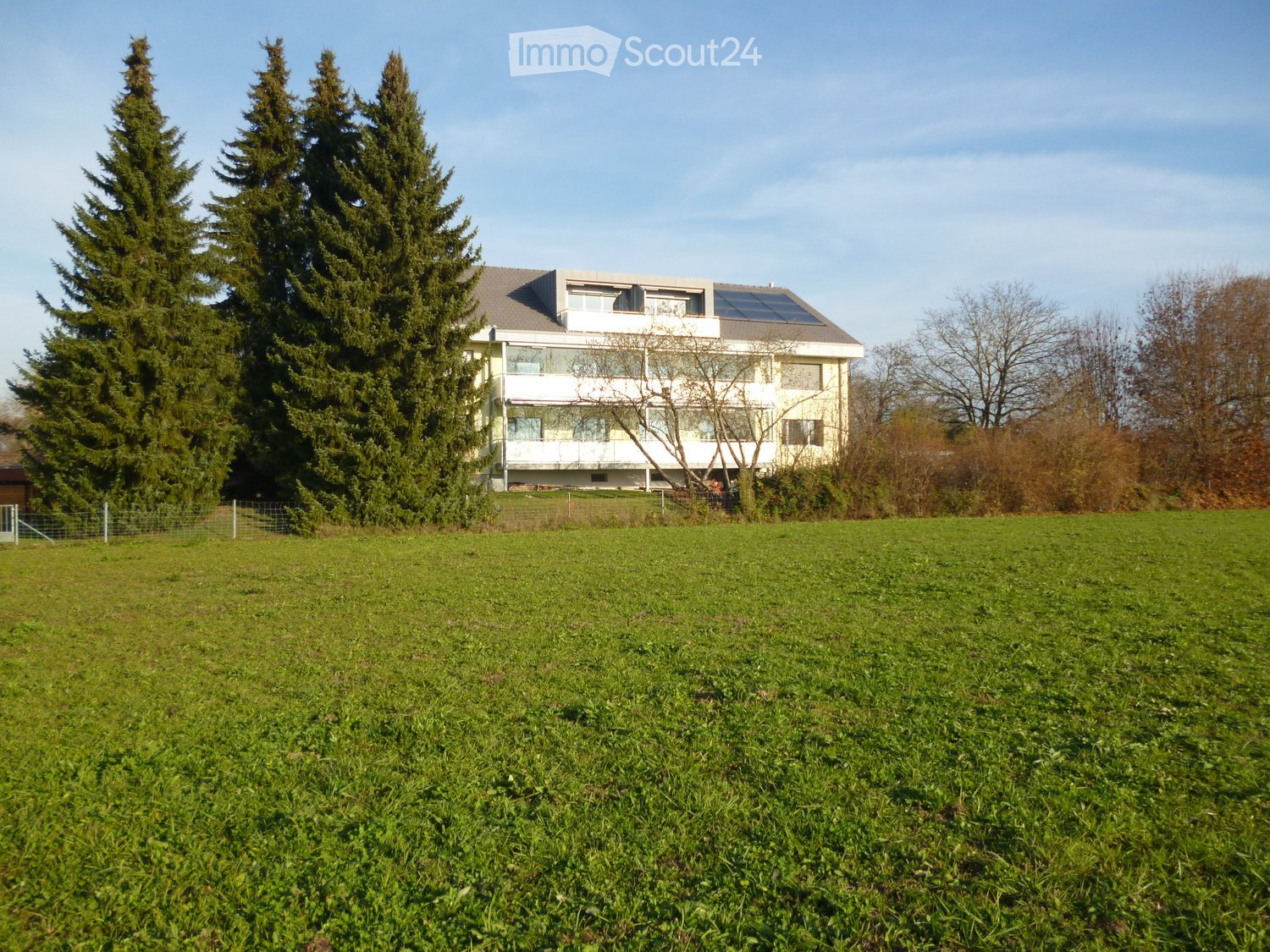 Modern two-story house with large windows and solar panels on the roof, surrounded by tall evergreen trees and a grassy lawn.