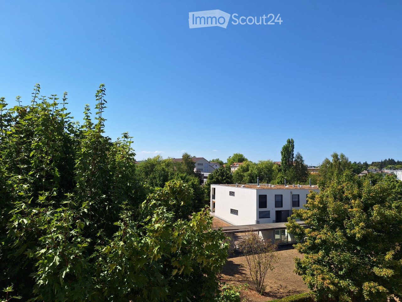 Modern white house with flat roof and large windows, surrounded by lush green trees and shrubs.