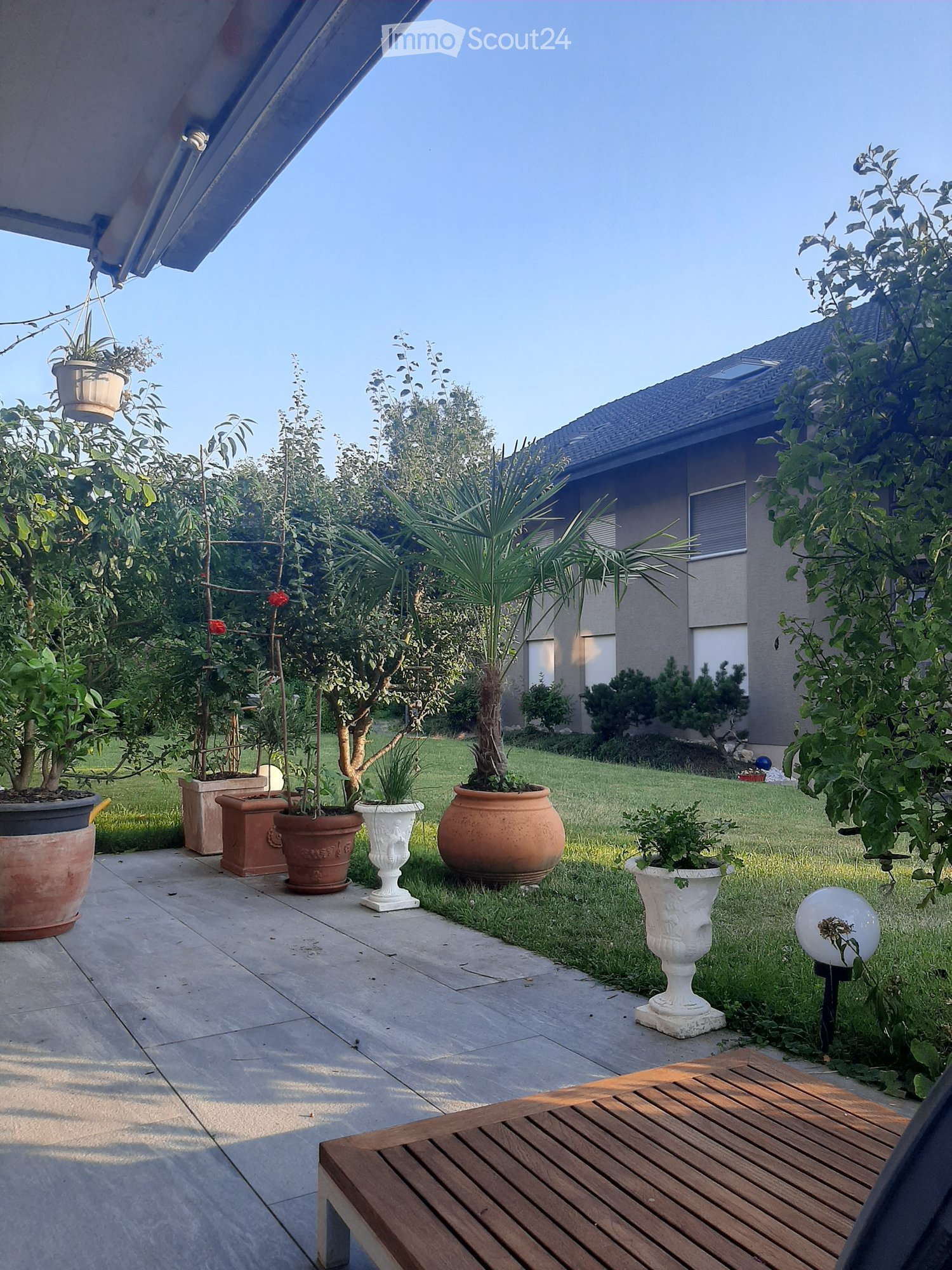 A well-maintained garden area with a variety of potted plants, including large terracotta pots and decorative urns, arranged on a paved patio. A wooden bench is visible in the foreground, and the background features a house with a sloped roof and addition
