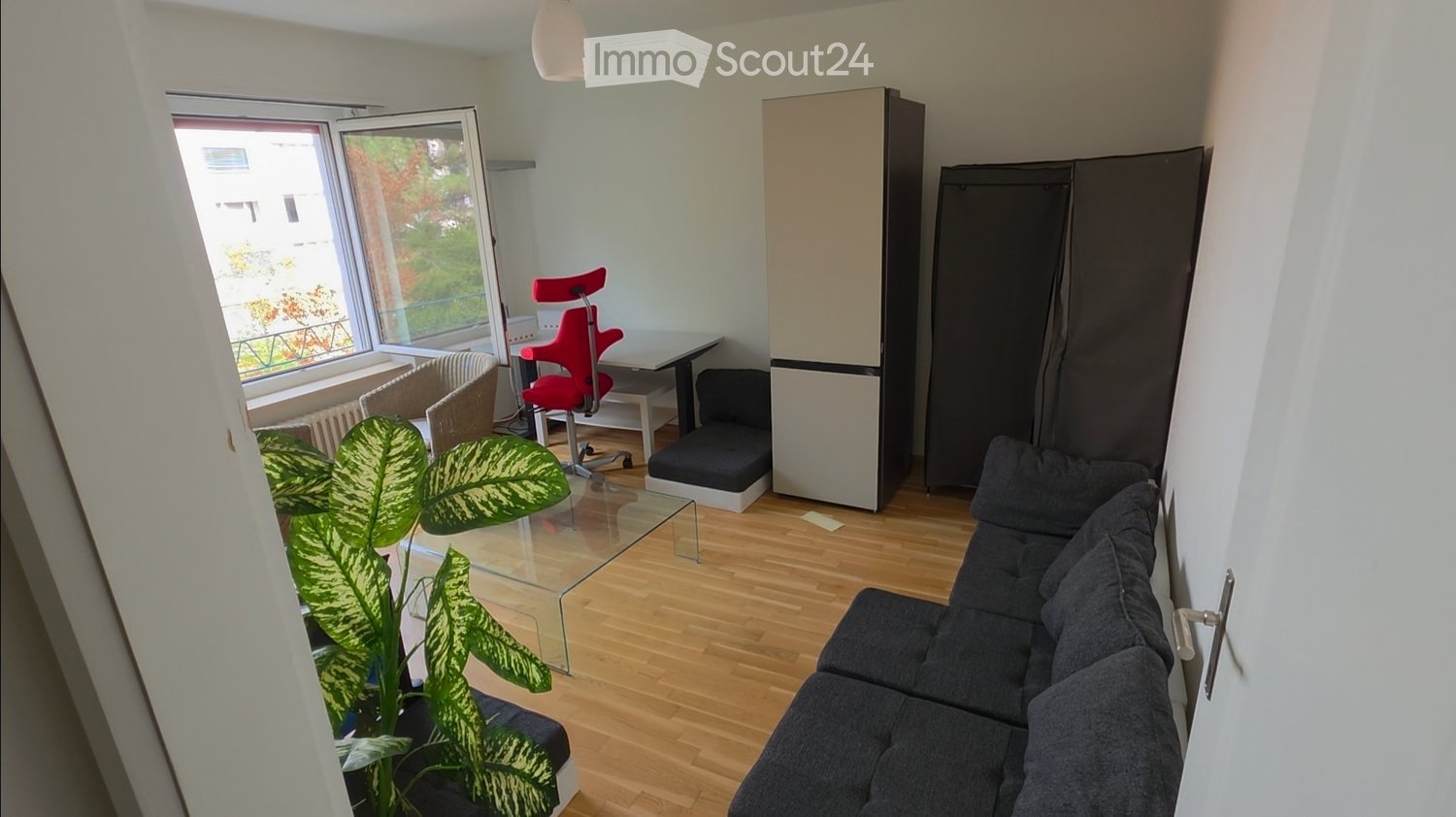 A modern, well-lit living room with a grey sectional sofa, a glass coffee table, a potted plant, a red office chair, a small table, and a built-in storage unit.