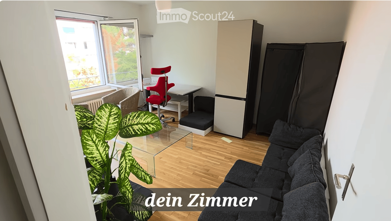 Modern living room with a black sofa, red chair, glass coffee table, and a large leafy plant near the window offering a view.