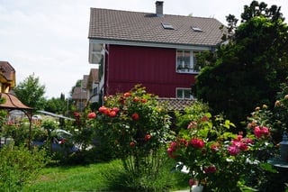 A well-maintained garden in front of a red brick house with a tiled roof. The garden features lush green grass, various flowering plants, and trees, creating a serene and inviting outdoor space.