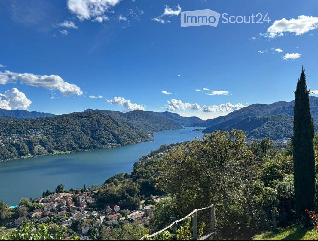 Panoramic view of a lake surrounded by mountains, with a small town visible on the shore and a tall cypress tree in the foreground.
