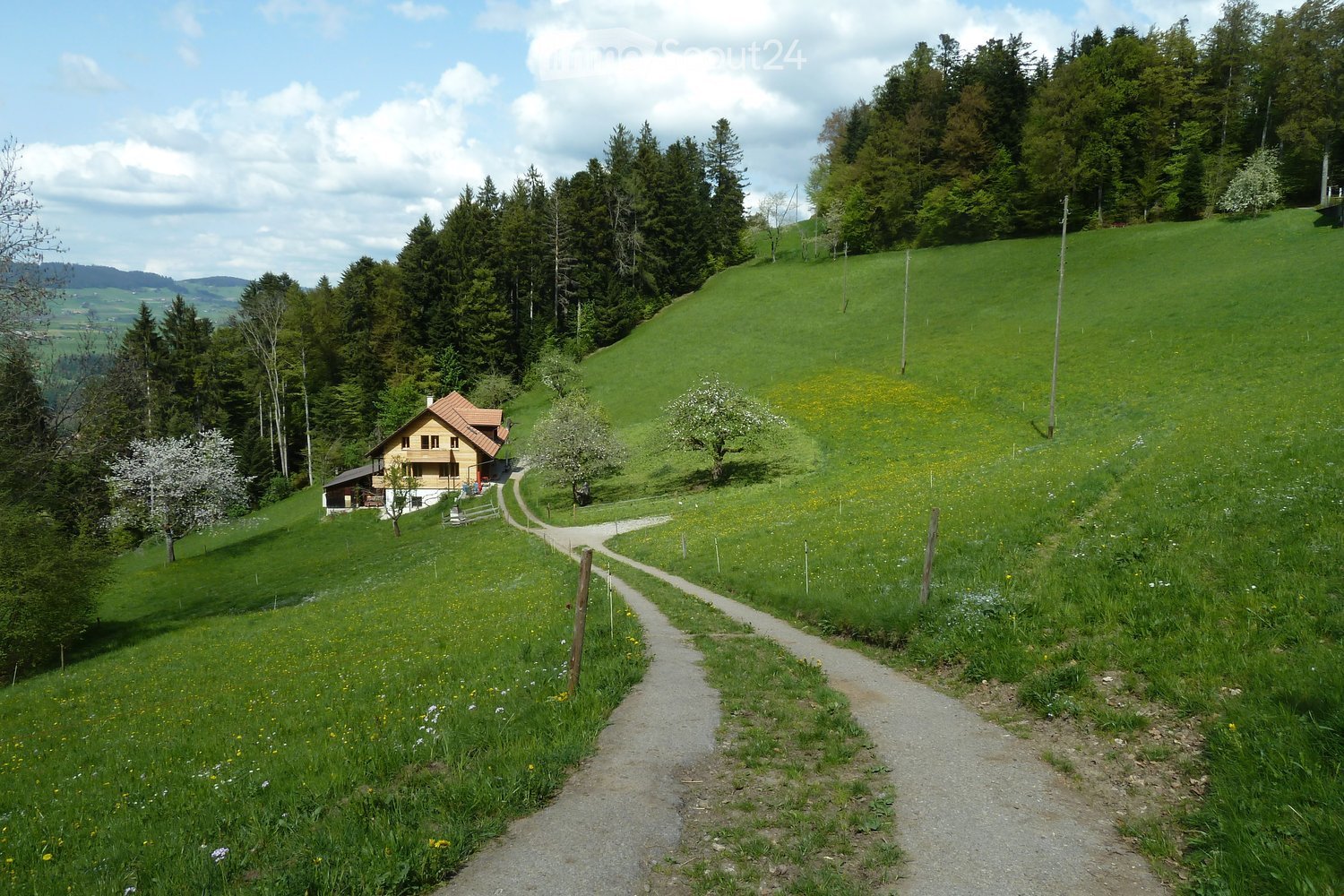 Garden / Outdoor Area. A rural house with a red-tiled roof and white walls sits on a grassy hillside surrounded by trees and wildflowers. A gravel path leads to the house, with a small outbuilding visible nearby.