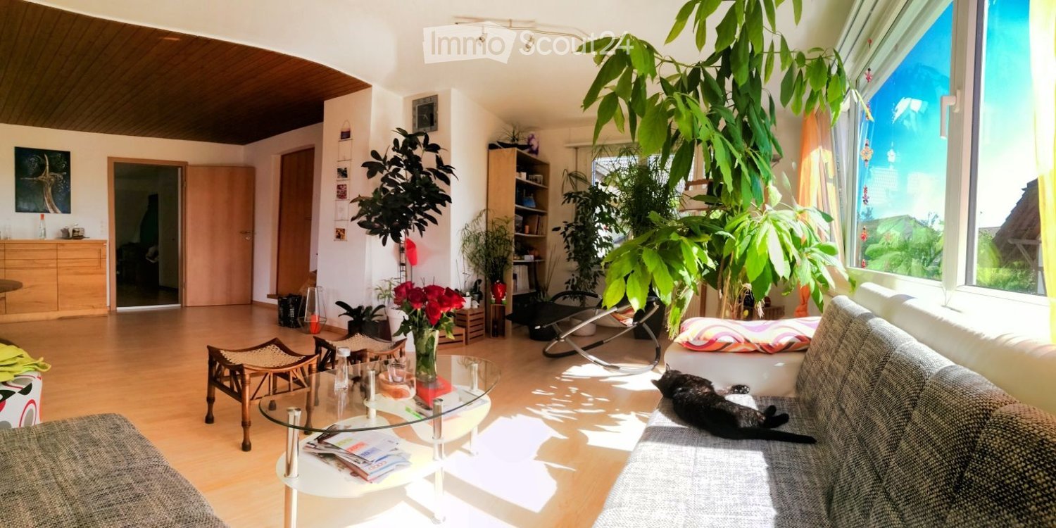 Bright living room with large windows, wooden flooring, a grey sofa, a glass coffee table, a wicker chair, and several potted plants. A cat is resting on the sofa.