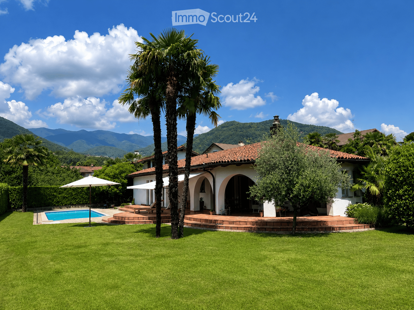 A well-maintained garden with a swimming pool, lounge chairs, umbrellas, and tall palm trees, surrounded by a lawn and a house with a tiled roof.