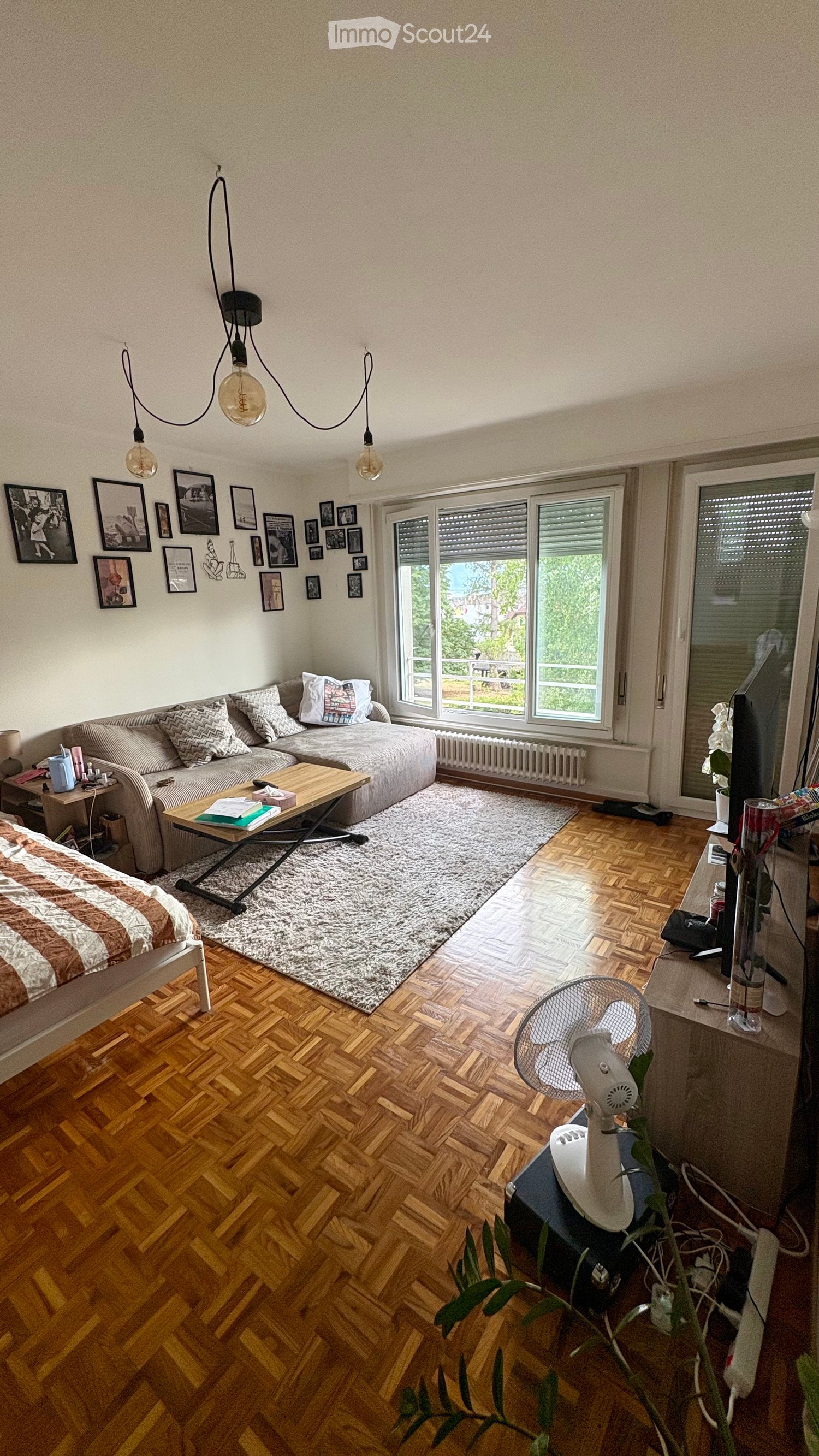 A modern living room with a grey sectional sofa, coffee table, fan, and a bed in the corner. The room features wooden flooring, large windows with blinds, and several picture frames on the wall.