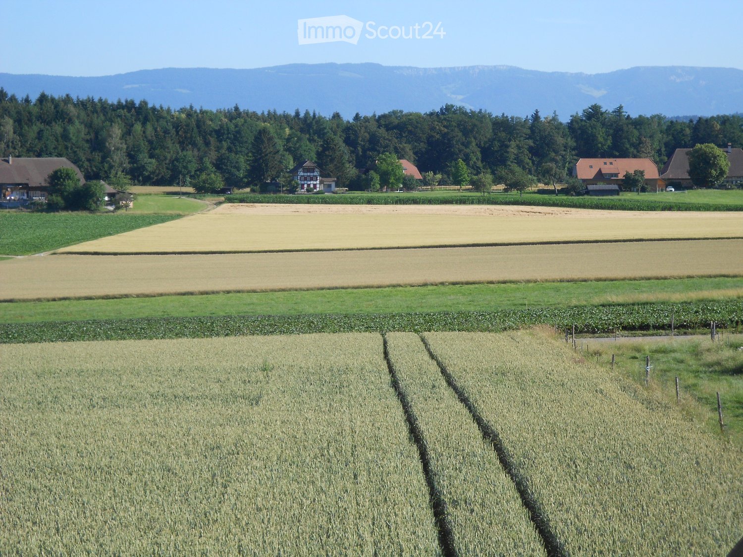A rural landscape with fields, houses, and trees, surrounded by mountains.