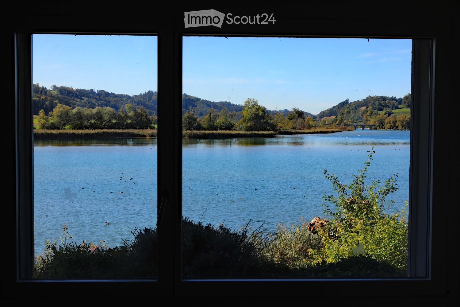 View from a window showing a serene lake with ducks, surrounded by lush greenery and hills under a clear blue sky.