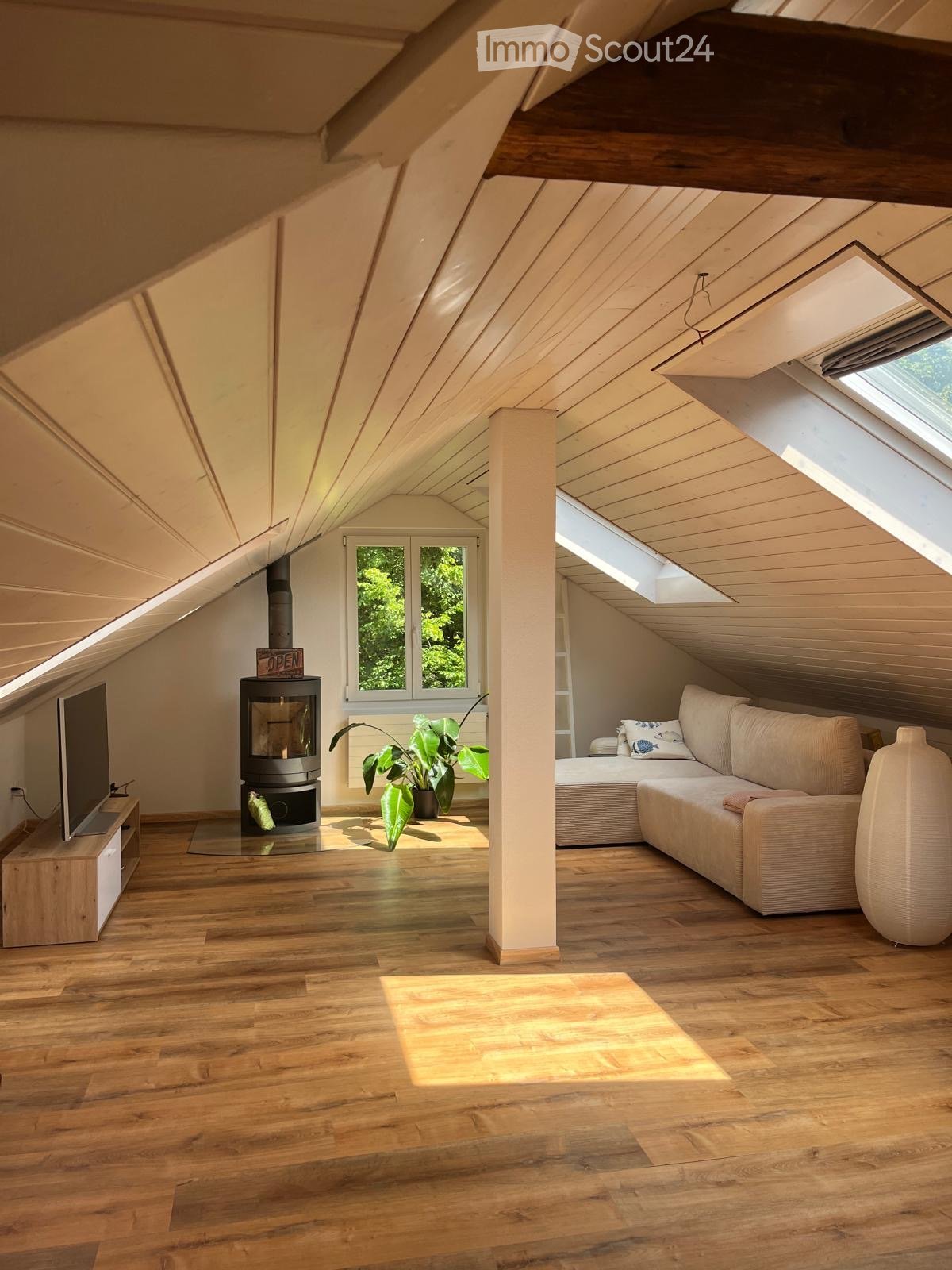 Bright attic living space with wooden floors, slanted ceilings, skylights, and a fireplace. Features a sofa, TV, and plants.