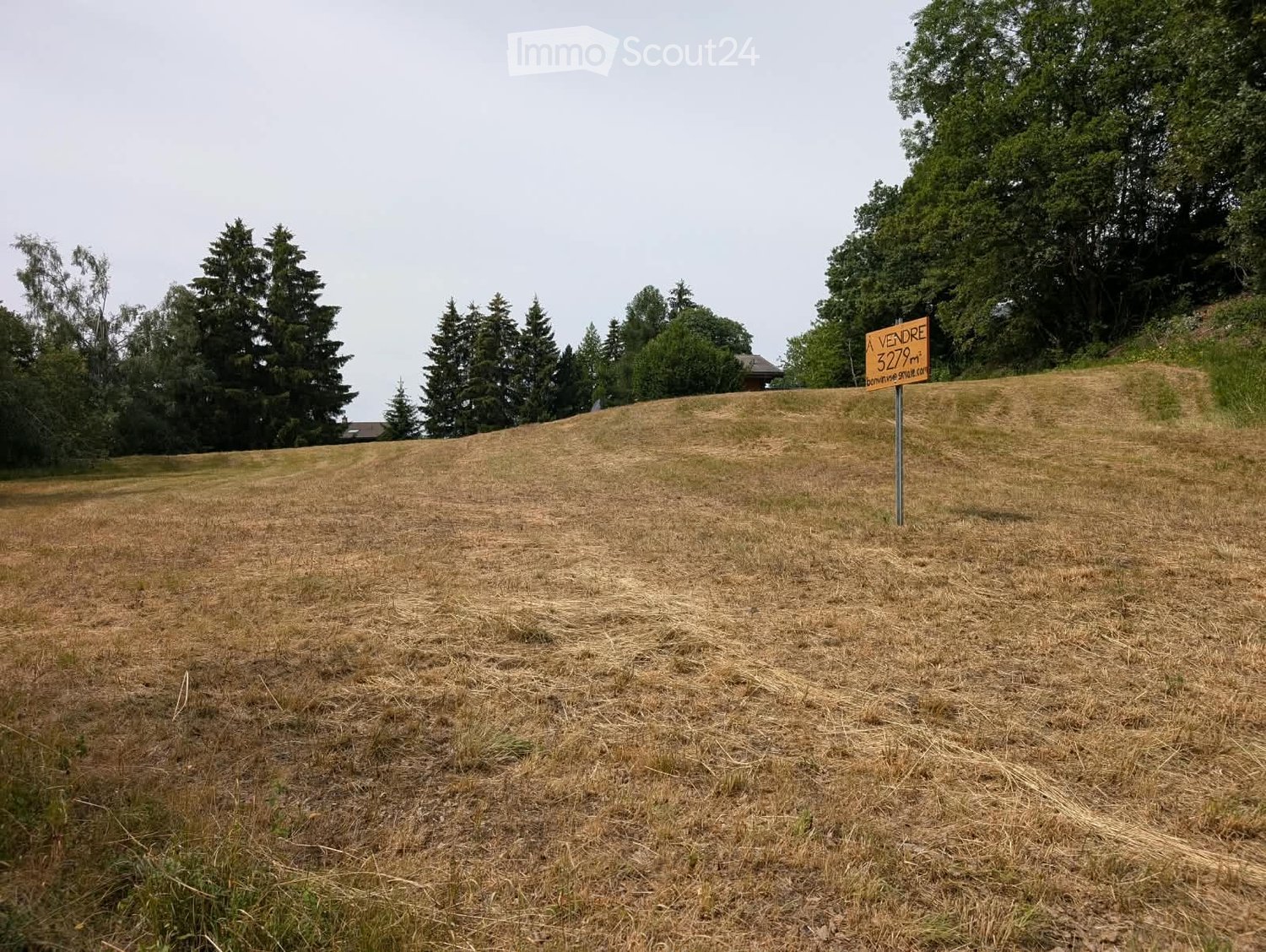 A grassy, sloping outdoor area with a "Vendre 3279 m²" sign, surrounded by trees and a distant house.