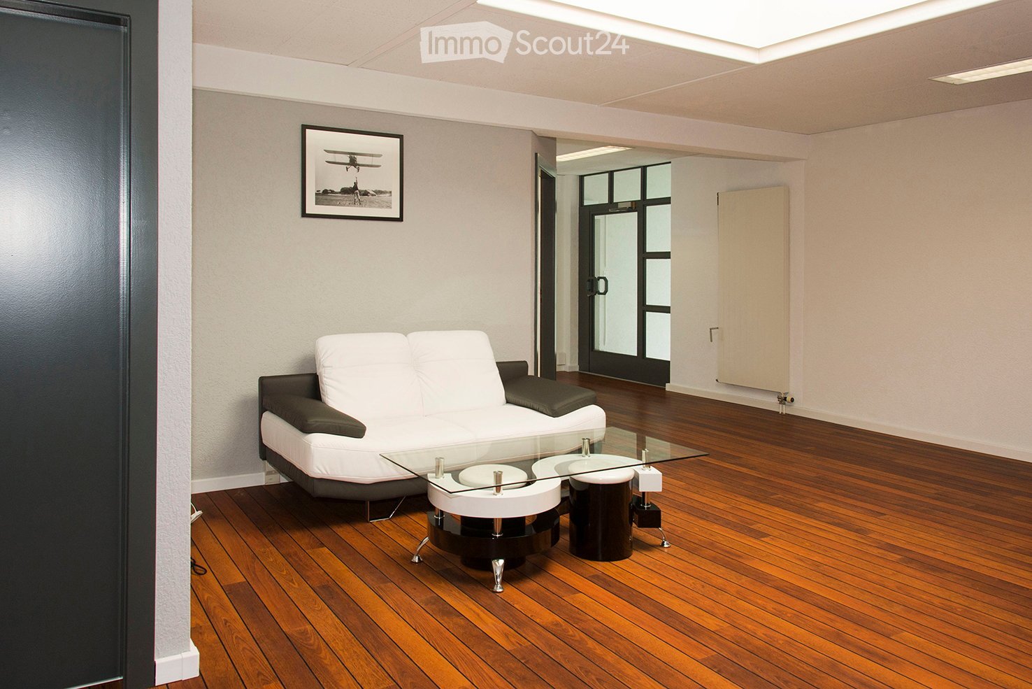 Modern white sofa, glass table, picture frame on the wall, radiator