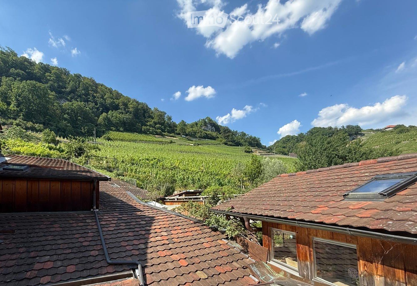 Roof view of a wooden house with a tiled roof, surrounded by green fields and a mountainous landscape under a clear blue sky.
