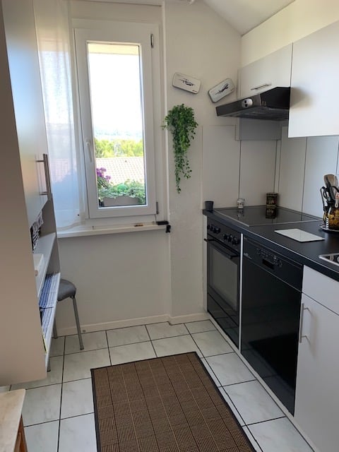 Modern kitchen with white cabinets, black appliances, a window with a view, and a small rug on the floor.