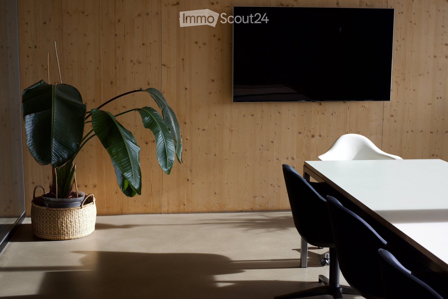 Modern office space with a large screen mounted on a wooden wall, a white table, black office chairs, and a large leafy plant in a woven basket.