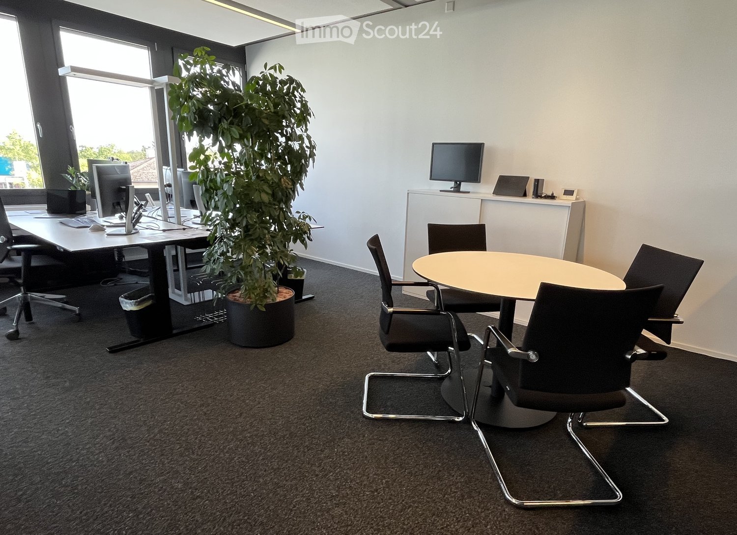Office space with a large desk, chairs, laptop, screen, round meeting table, and a potted plant.