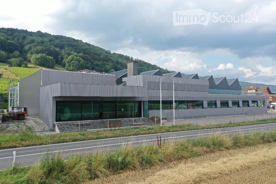 Modern, single-story building with a grey metal facade and large glass windows, situated near a road with a landscaped area and distant hills.