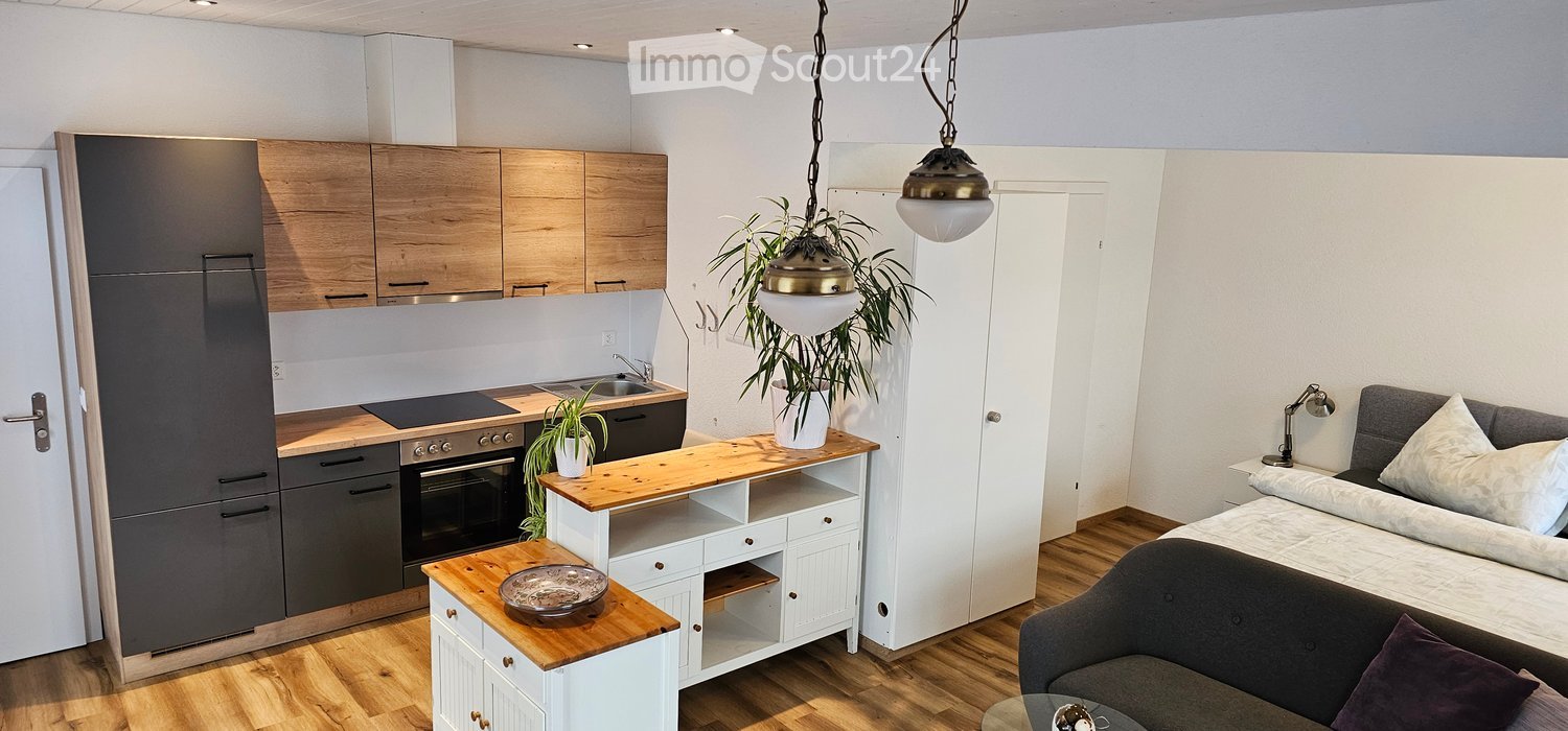 Open plan kitchen and living room, wooden floor, modern kitchen with oven, sink, cabinets, countertop, plants, sofa, bed, pillows, lamp, wooden tables