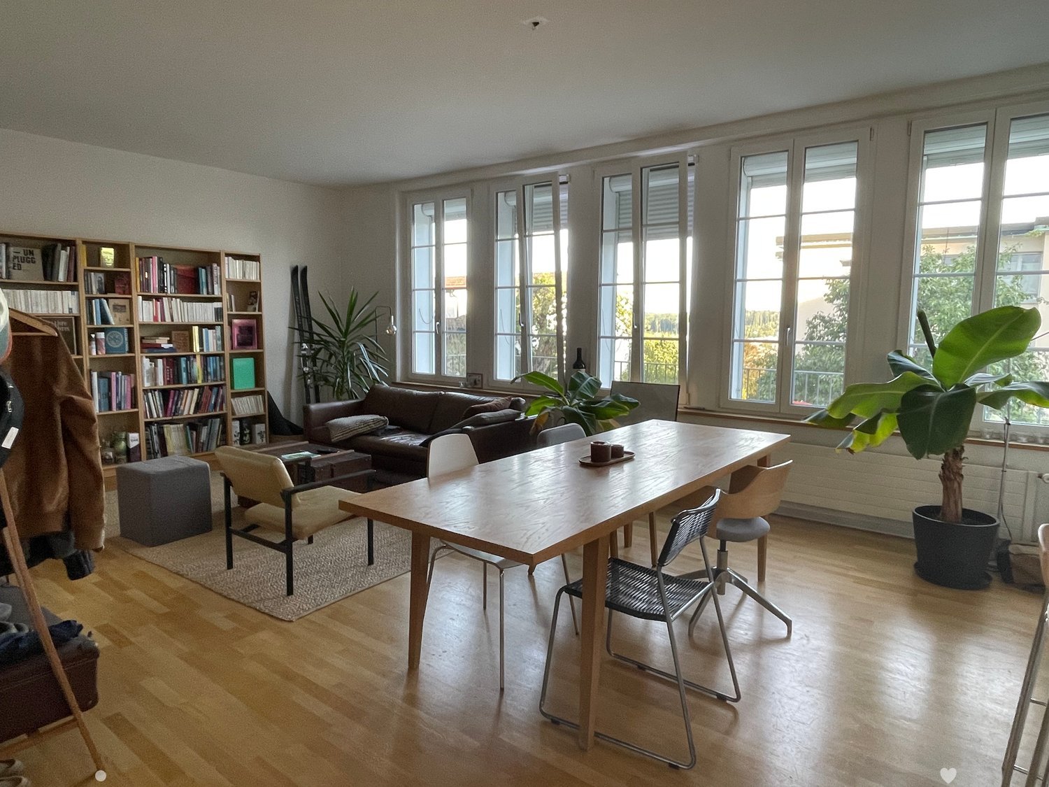 Bright living room with large windows, wooden floor, sofa, dining table, chairs, bookshelf, and plants.