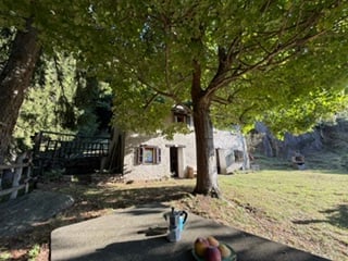 A sunny outdoor patio area with a wooden table, a teapot, and a bowl of fruit. The patio is surrounded by trees and a rustic house is visible in the background.