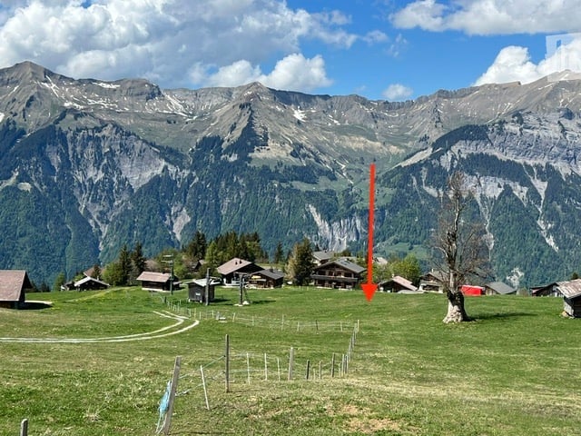 A picturesque alpine village with traditional wooden houses, surrounded by lush green fields and towering mountains under a clear blue sky.