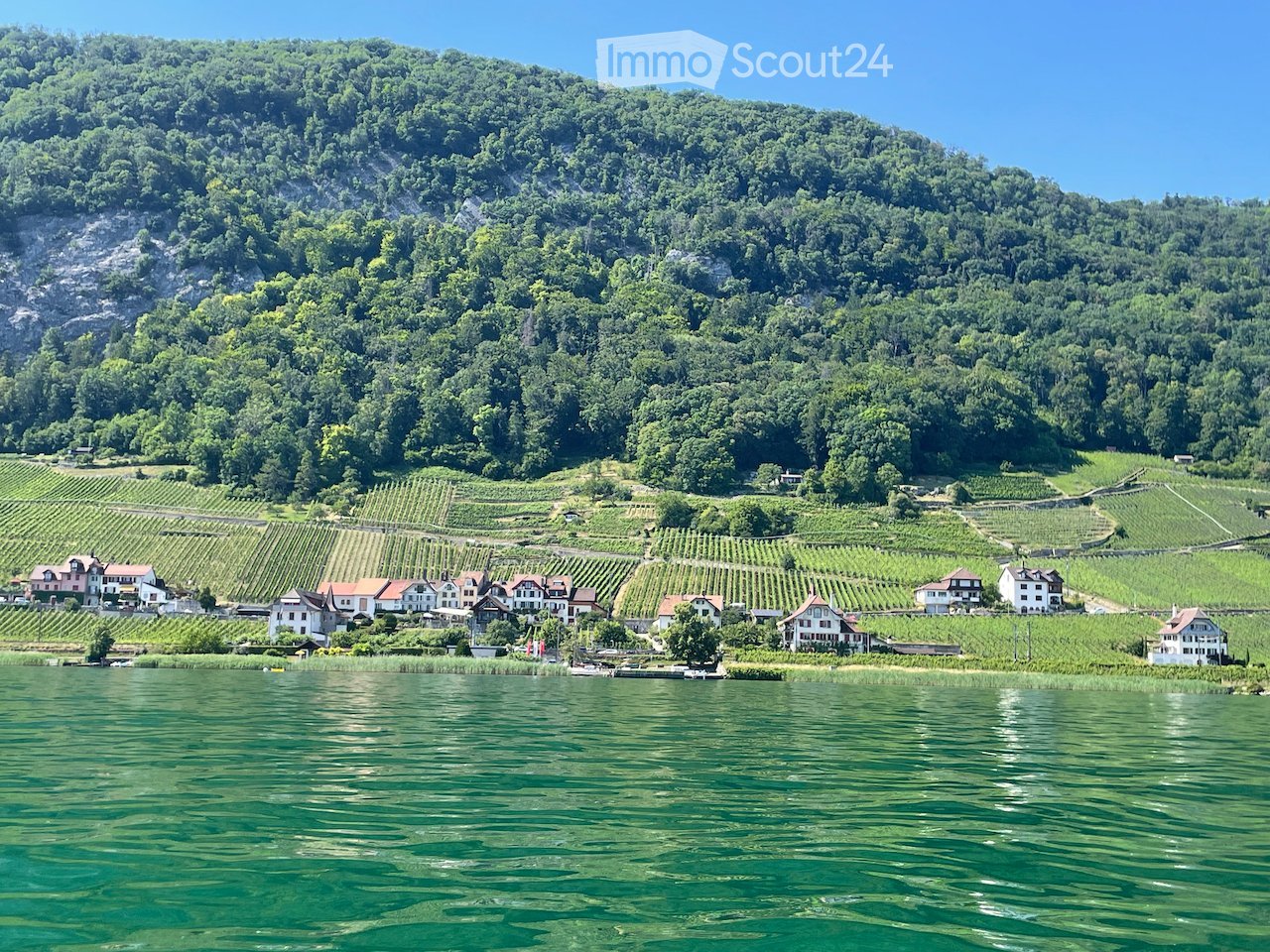 Scenic view of a lakeside village with vineyards, houses, and a forested hill in the background.