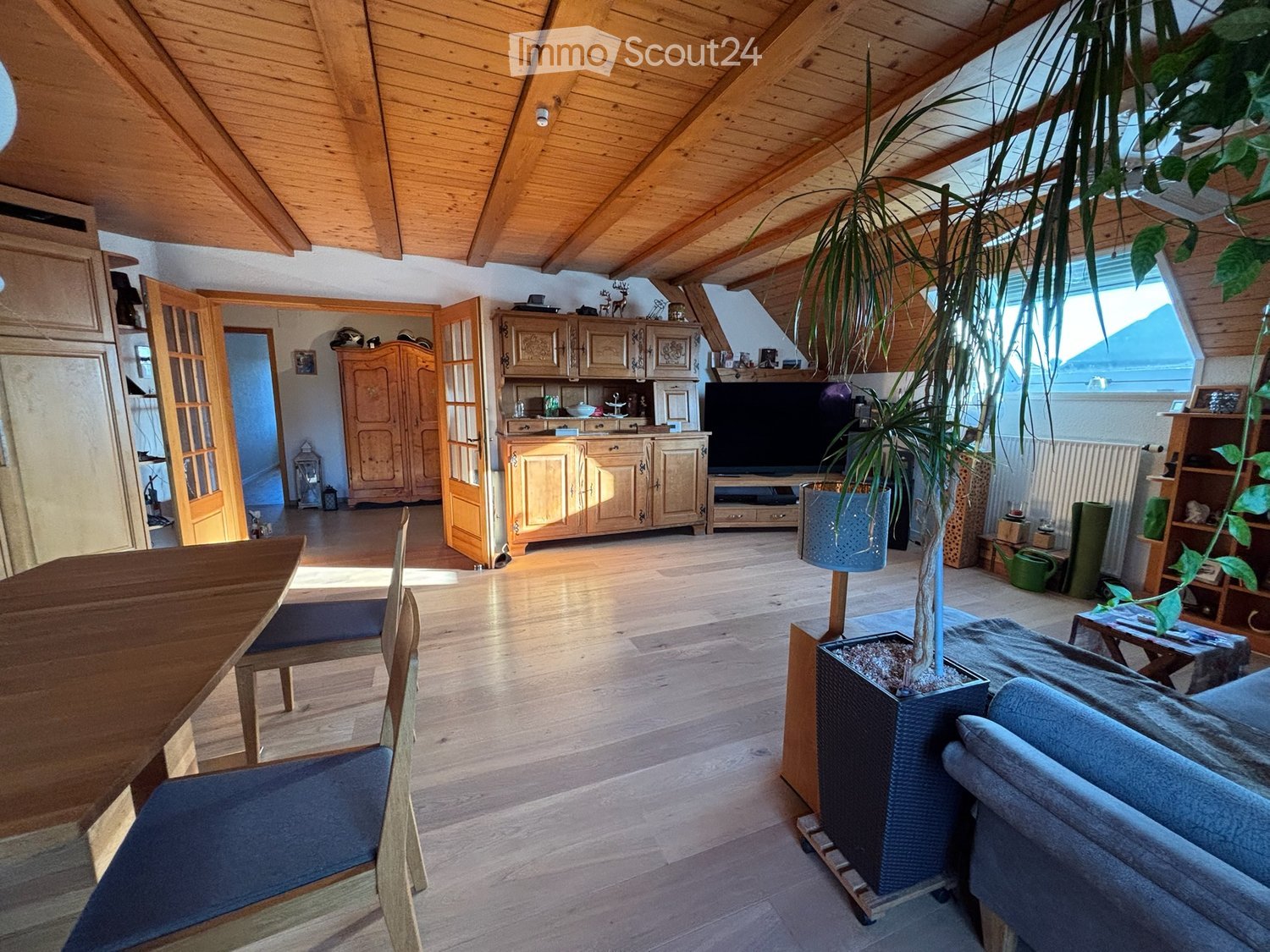 Bright living room with wooden floors, exposed wooden beams, large windows, a sofa, a coffee table, a dining table with chairs, a television, and a large potted plant.