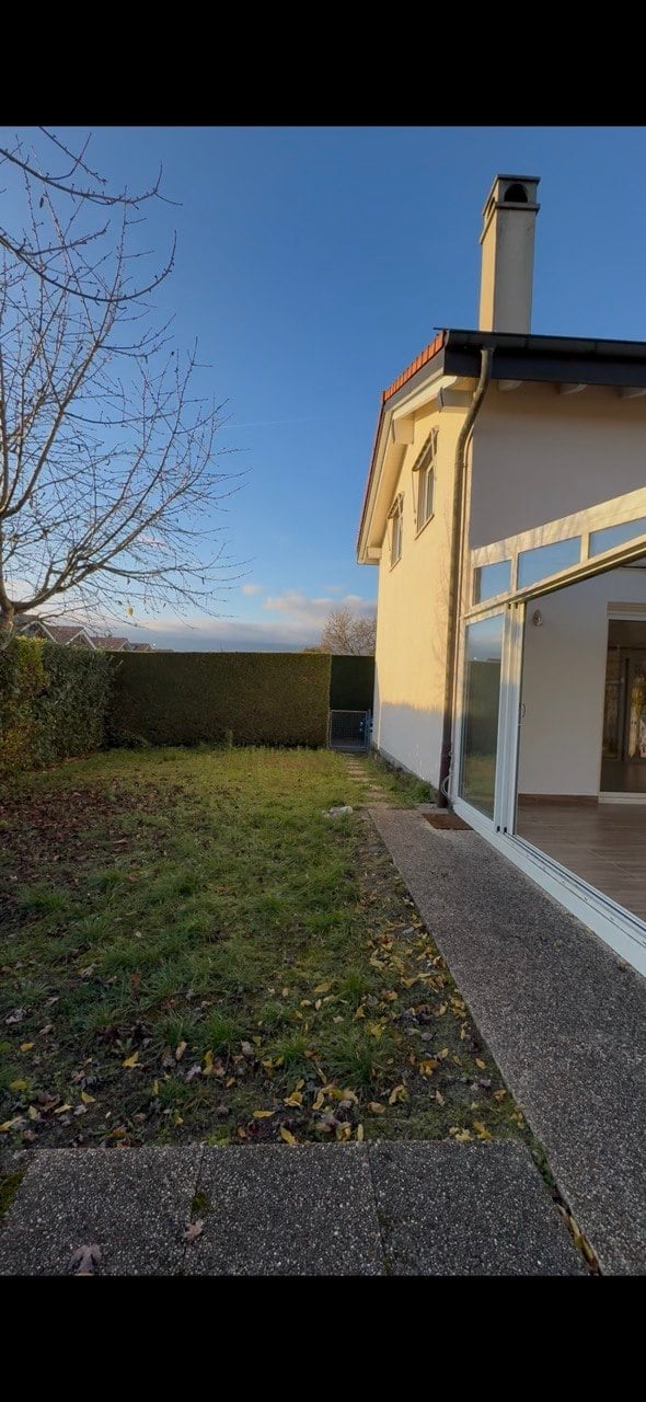 Backyard with a concrete pathway leading to a house entrance, surrounded by a hedge and sparse grass.