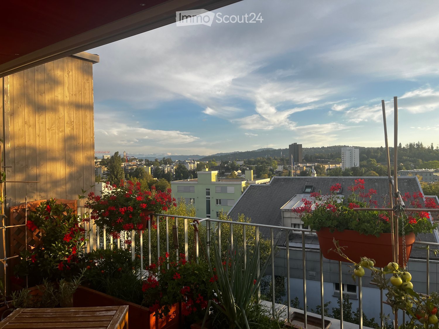 Balcony with metal railing, potted plants, and a cityscape view.