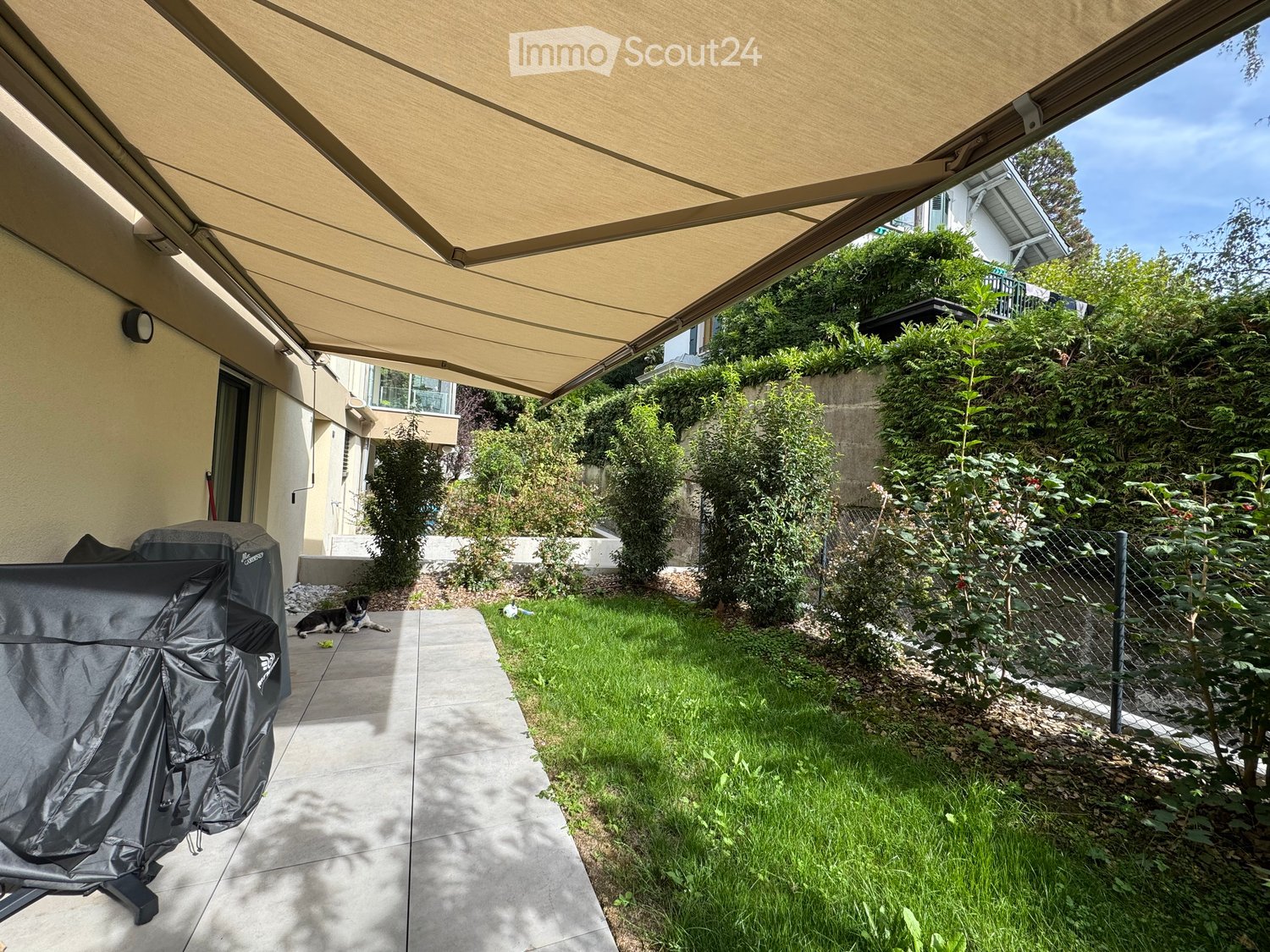 A well-maintained garden area with a covered patio, a covered grill, a small dog, and a variety of plants and shrubs.