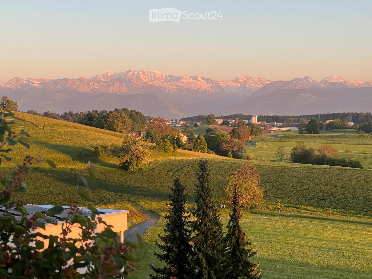 Panoramic view of a lush green valley with rolling hills, scattered trees, and distant snow-capped mountains under a warm sunset sky.