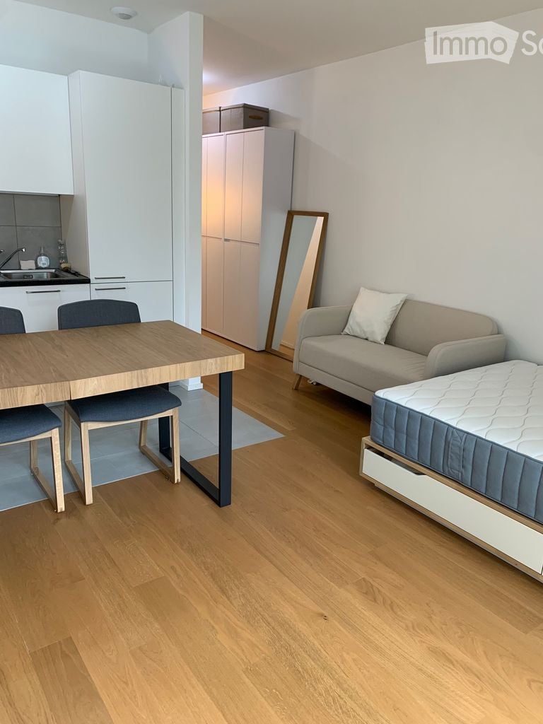 A modern, open-concept living and dining area with a sofa, dining table, chairs, and a small kitchen area with cabinets and a sink.