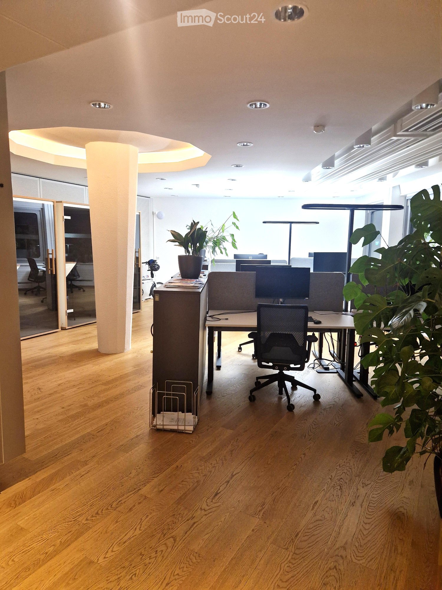 Office space with wooden flooring, a desk with a chair, a screen, a plant, and a lamp.