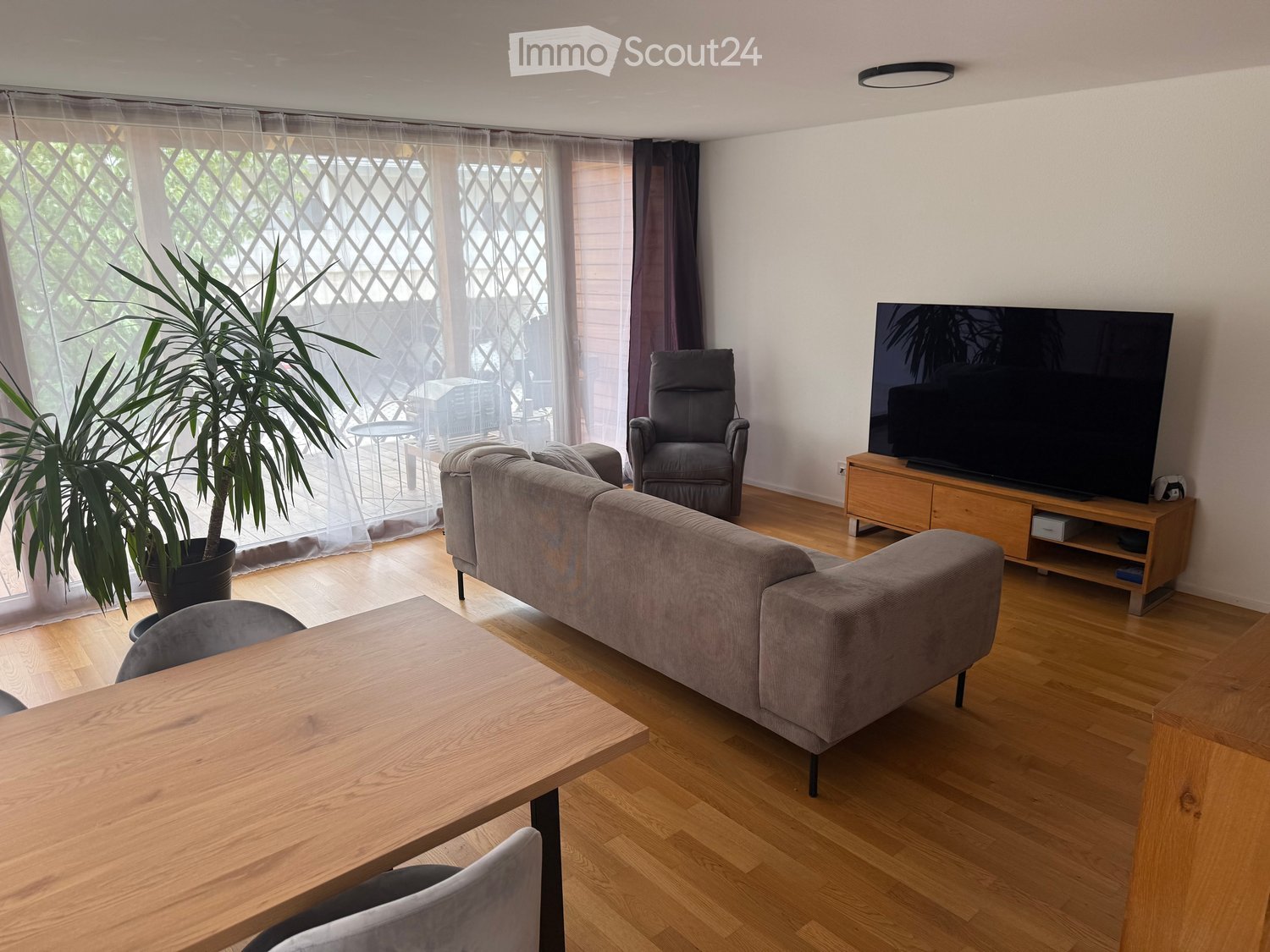 Modern living room with light wooden flooring, large windows with sheer curtains, grey sofa, armchair, coffee table, TV on wooden stand, and a potted plant near the window.