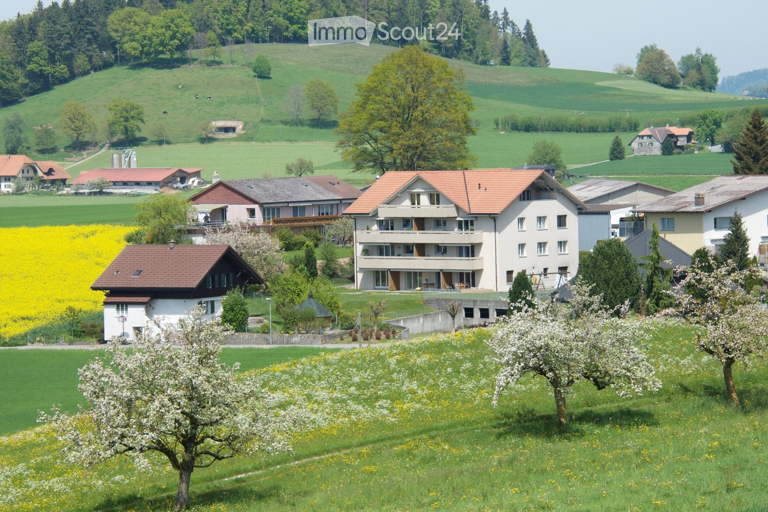 A picturesque village scene with multiple houses, green fields, and rolling hills in the background.