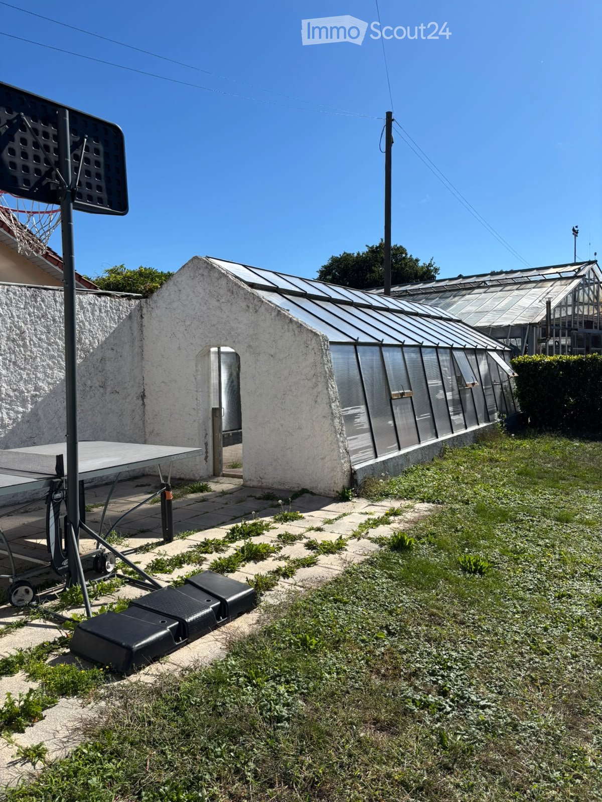 Outdoor area with a small greenhouse, a ping pong table, and a basketball hoop. The ground is partially covered with grass and concrete tiles.