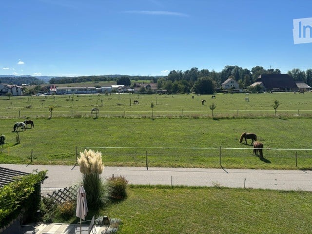 A peaceful countryside view with a fenced area, several horses grazing, and a paved pathway leading to a garden with plants and an umbrella.