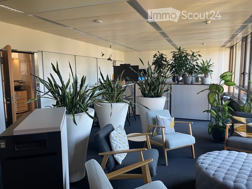 Modern, well-lit balcony lounge area with large potted plants, comfortable seating including sofas, chairs, and an ottoman, a small table, and a screen for presentations.