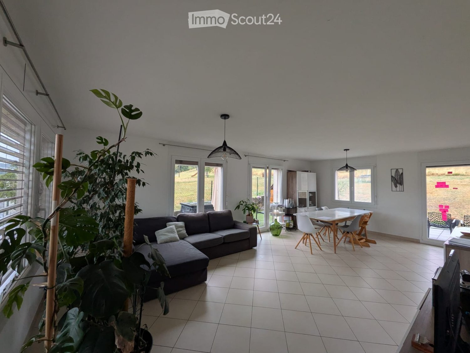A modern living room with a grey sectional sofa, a dining table with chairs, a large potted plant, and a TV screen on the right side.