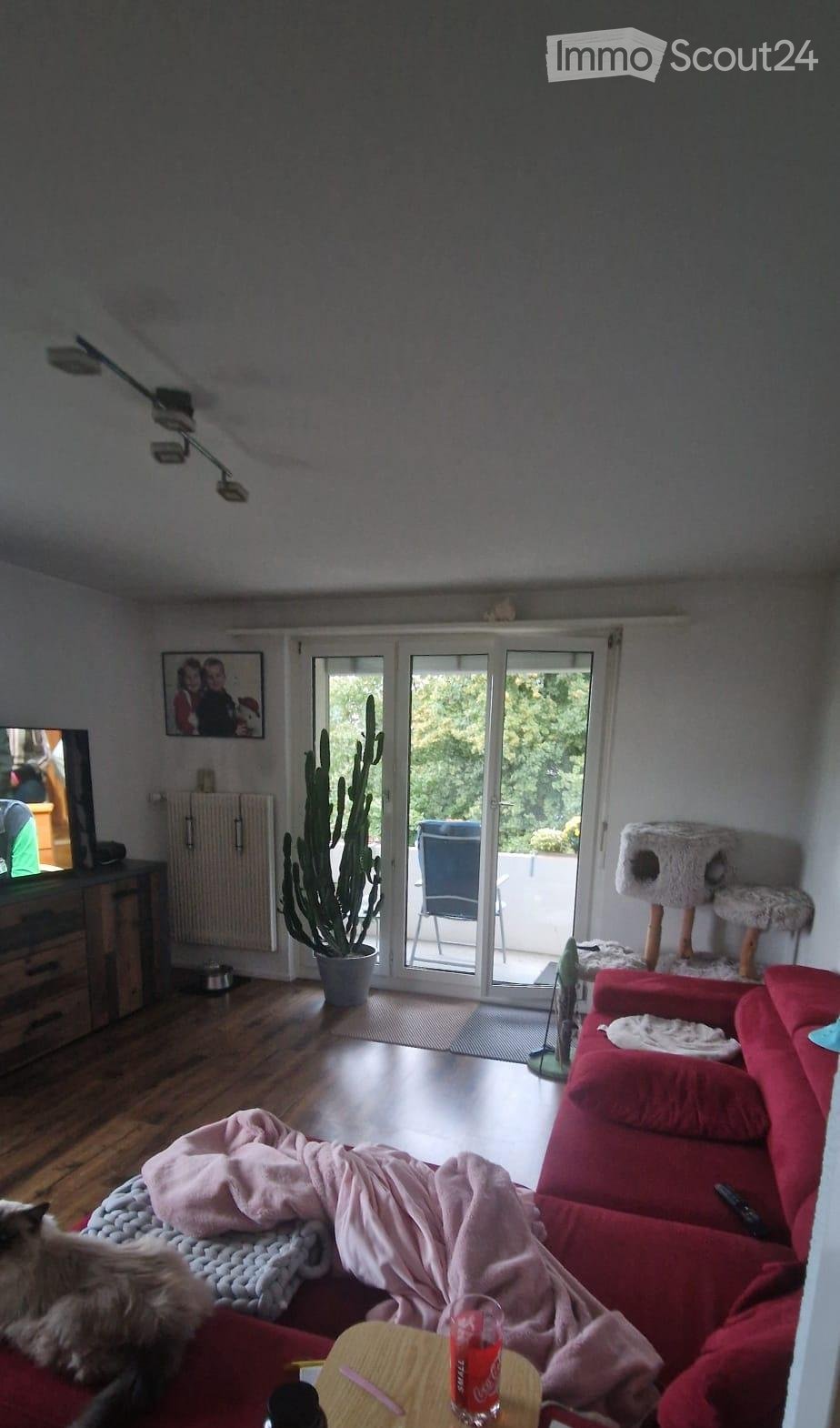 A cozy living room with a red sofa, a small round table with a Coca-Cola glass, a cat tree, a large cactus in a pot, a television, and a picture frame on the wall. The room has wooden flooring and large glass doors leading to a patio.