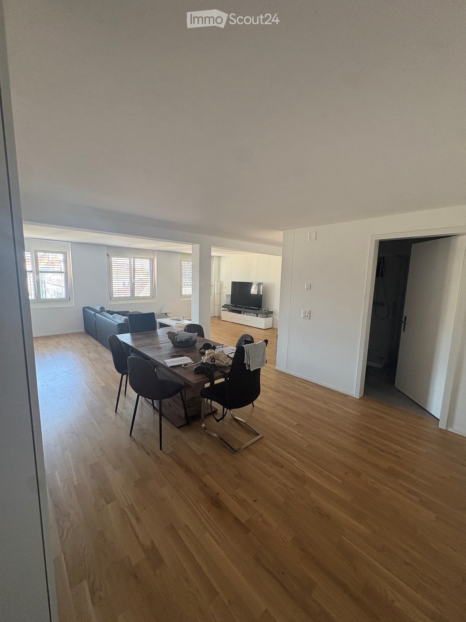 Bright, open living and dining area with wooden flooring, large windows, a sofa, a dining table with chairs, and a television on a stand.