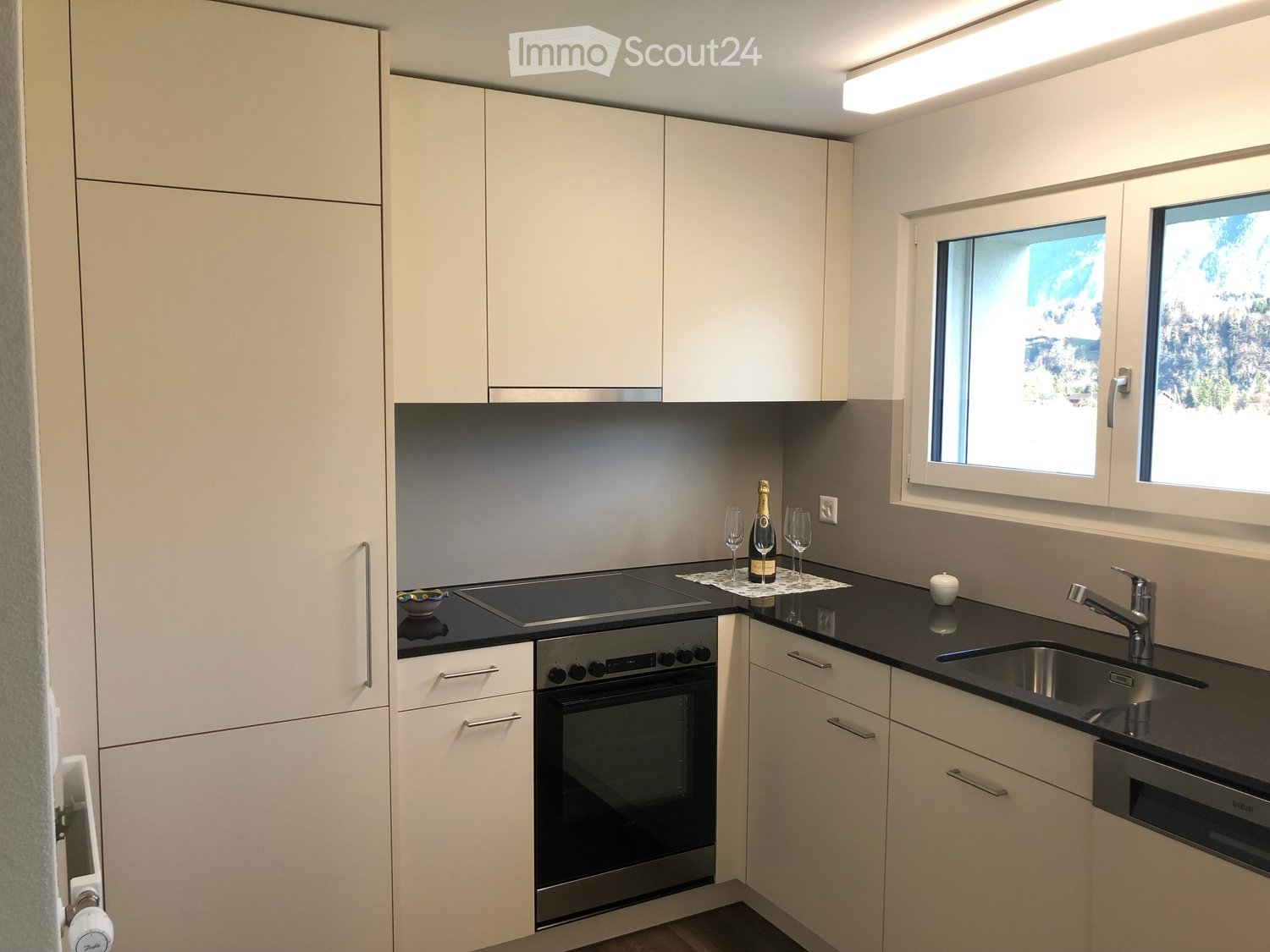 Modern kitchen with white cabinets, black countertops, built-in oven, sink, and decorative items on the counter.